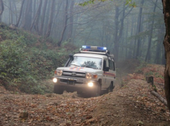  Пожилой грибник в Сочи оступился и упал в овраг 