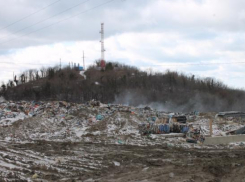 Активисты ОНФ нашли несанкционированную свалку в курортной зоне Туапсе