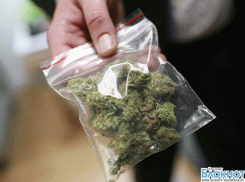 На Кубани бывший полицейский продавал марихуану