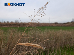 Гектары сельхозземель в Краснодаре отдадут под строительство дороги к аэропорту