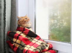 В последний выходной перед рабочей неделей на Кубани будет дождливо 