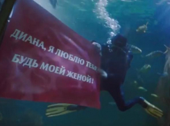 В Сочи парень сделал предложение в океанариуме
