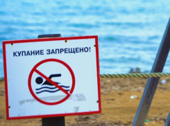 Купание в Черном море запретила администрация Анапы
