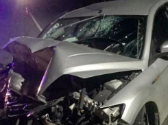 Компания спортсменов разбилась в ДТП на Кубани