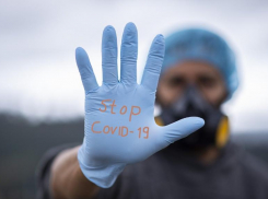 Больше 35 тысяч заболевших: на Кубани коронавирусом заразился 181 человек