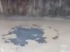 Асфальт в Краснодаре уложили прямо в лужи