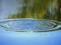  Из реки Кубань возле «Солнечного острова» вытащили тело мужчины 