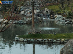 От +16 до -2 градусов: температурные качели обрушатся на Краснодар на Масленицу 