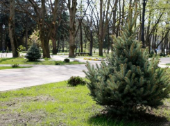 В Краснодаре проекты благоустройства четырех скверов прошли госэкспертизу