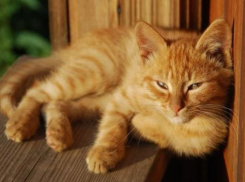 В субботу в Краснодарском крае испортится погода