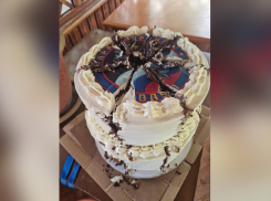 Наличие яда в доставленном летчикам торте в Армавире подтвердили