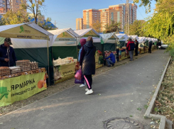 На Западном Обходе Краснодара в субботу заработает новая ярмарка выходного дня