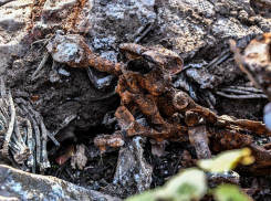 Обломки советского ЛаГГ-3 нашли на Кубани