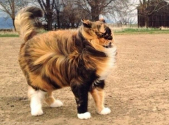 Погода в Краснодаре радует весенней прохладой