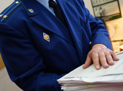 В Краснодаре начались проверки управляющей компании дома, где колясочник расчищал снег