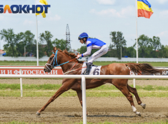 В Краснодарском крае лошадь придавила 16-летнюю студентку