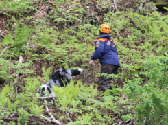 Проведение поиска спасателя под угрозой: на горе в Сочи продолжаются оползни
