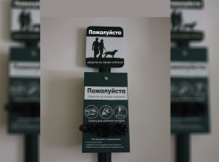  Как во всем мире: в новом сквере Краснодара появится дог-станция 