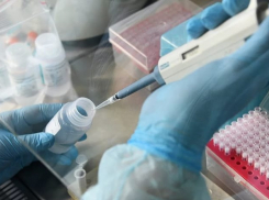 Краснодар продолжает держать первое место по заболеваемости коронавирусом 