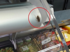 В известном супермаркете Краснодара обнаружили тараканов