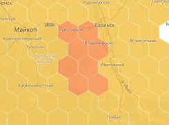 Аллергикам Кубани поможет новая онлайн-карта
