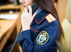 Следком начал проверку информации об изнасиловании семилетней девочки в Сочи 