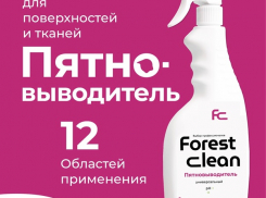 Комфортная и эффективная уборка вместе с «FOREST CLEAN» станет еще и приятной