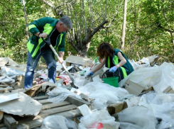 В Прикубанском округе Краснодара нашли несколько несанкционированных свалок
