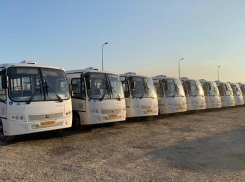 Краснодарка раскритиковала «оптимизацию» автобусов на примере маршрутов №29 и 38