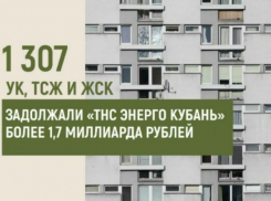 Долги управляющих компаний за свет превысили 1,7 млрд руб. Как проверить исполнителей услуг?