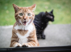 На Кубани март забыл, что наступила весна 