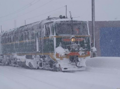 В Краснодарском крае из-за упавшего дерева задержали три поезда и электричку