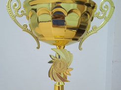 Топ-4 городов за неделю: Краснодар – самый непотопляемый, Воронеж – ненадежный, Ростов - молодильный, Волгоград – самый ёжистый 