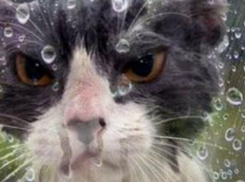 На Кубань в выходные обрушатся дожди с грозами