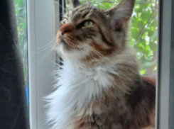 Аномальное потепление задержится в Краснодарском крае