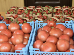 Во время карантина фермерам Кубани помогут реализовать продукцию
