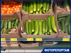 В Краснодаре показали цены на продукты для окрошки
