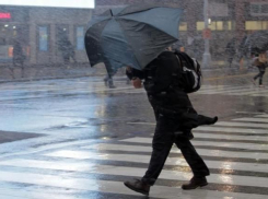Дождь и сильный ветер ожидают жителей Кубани в понедельник