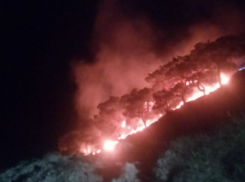  Во время пожара на горе Колдун выгорело 500 кв. м лесной подстилки