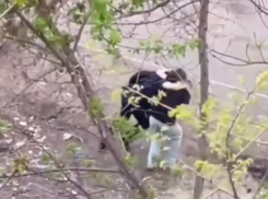 Молодые люди под веществами попали на видео в центре Краснодара