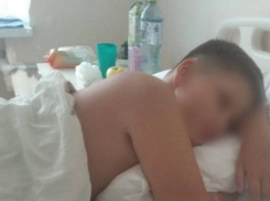 «Галлюцинации и липкий пот»: ребёнок 6 дней провел в больнице после укуса паука Чёрная Вдова в Краснодарском крае