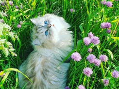 В конце октября на Кубань пришло потепление