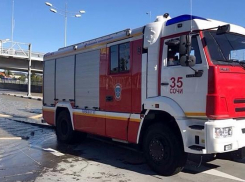 В Сочи во время шторма дерево рухнуло на машину с людьми