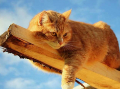 Веселая пятница: кутежу кубанцев поспособствует яркое солнце и тепло