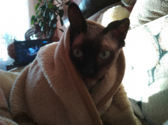 Температура воздуха в Краснодарском крае упадет на 15 градусов