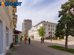 Войти в IT планируют 29 процентов краснодарских школьников