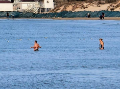 «Сотни людей купаются, загорают и гуляют»: аншлаг в Анапе в конце ноября показал блогер 