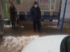 Краснодарцы просят ГИБДД обратить внимание на остановку трамваев на Дмитриевской дамбе