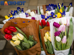 На празднование 8 Марта в Краснодарском крае потратят 6,5 млн рублей