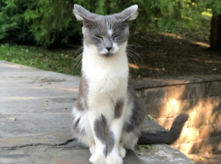 На выходных температура воздуха в Краснодаре снова упадет и будет дождь